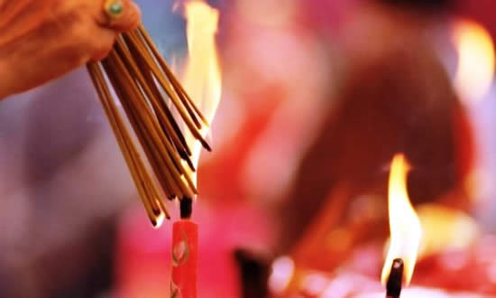 La madera sagrada del Amazonas: Palo Santo2