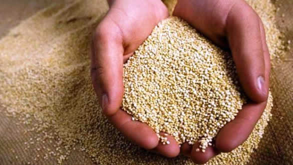 Los poderes nutricionales de la kiwicha