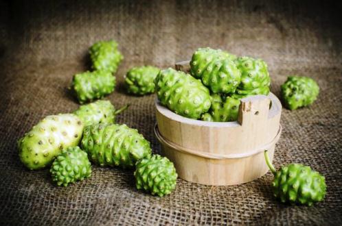 Beneficios del noni que debes conocer