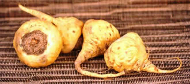 Beneficios y propiedades curativas de la maca