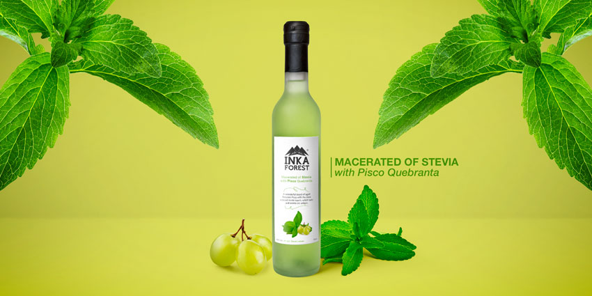 http://www.inkaforest.com/blog/wp-content/uploads/2017/06/pisco-stevia-blog.jpg